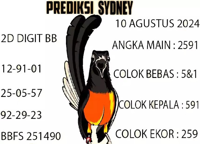 SYAIR SDY VIP